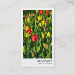 Instant Photo - Colourful Tulips Business Card