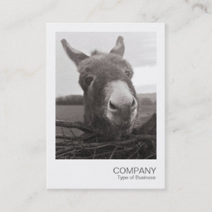 Instant Photo - Friendly Donkey Business Card