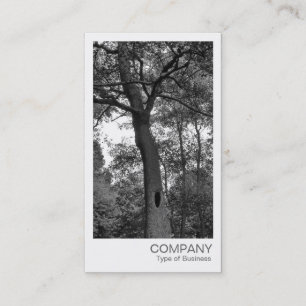 Instant Photo - Mysterious Tree Business Card
