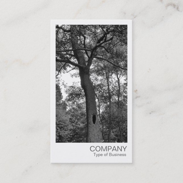 Instant Photo - Mysterious Tree Business Card (Front)
