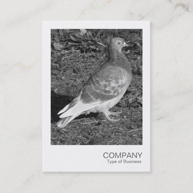 Instant Photo - Pigeon BW Business Card (Front)