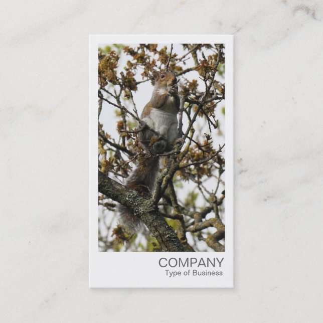 Instant Photo - Squirrel in a Tree Business Card (Front)