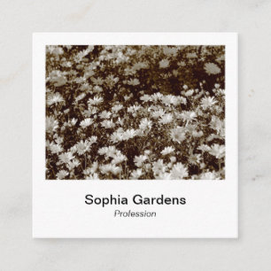 Instant Photo Style - Daisies Square Business Card
