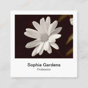 Instant Photo Style - Daisy Square Business Card