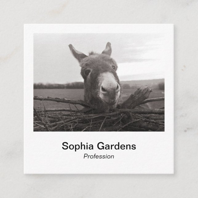 Instant Photo Style - Friendly Donkey Square Business Card (Front)