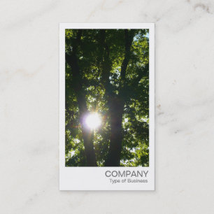 Instant Photo - Sun Through the Trees Business Card