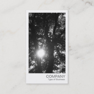 Instant Photo - Sun Through the Trees BW Business Card