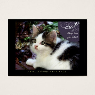 Instinct Life Lessons From a Cat ACEO Art Cards