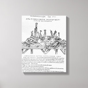 Instruments for Dissections, illustration from 'De Canvas Print