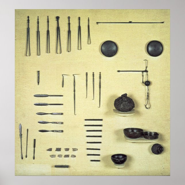 Instruments from an oculist's case, from Reims Poster (Front)