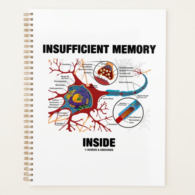 Insufficient Memory Inside Neuron Synapse Humour Planner (Front)