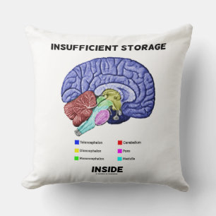 Insufficient Storage Inside Brain Anatomy Humour Cushion