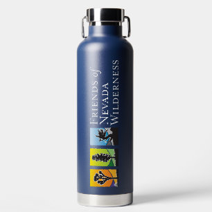 Insulated Water Bottle