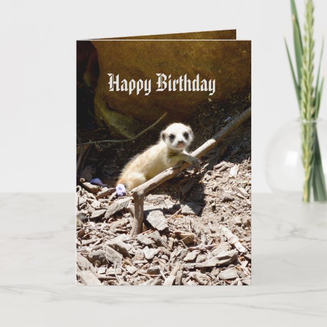 Insy Winsy Baby Meerkat, Birthday Card (Front)