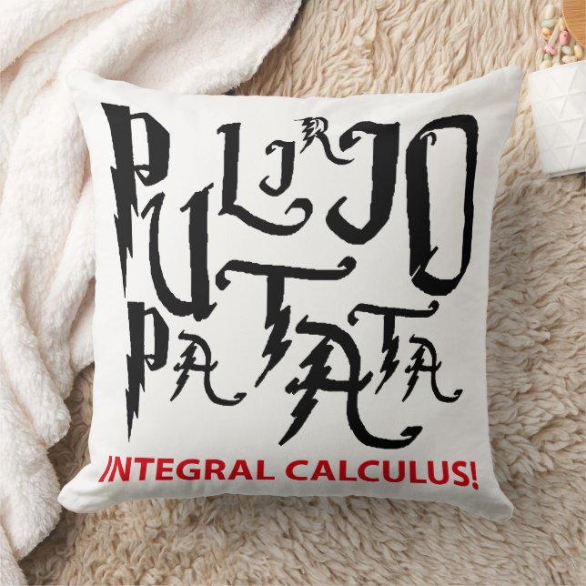 Integral Calculus Cushion (Blanket)