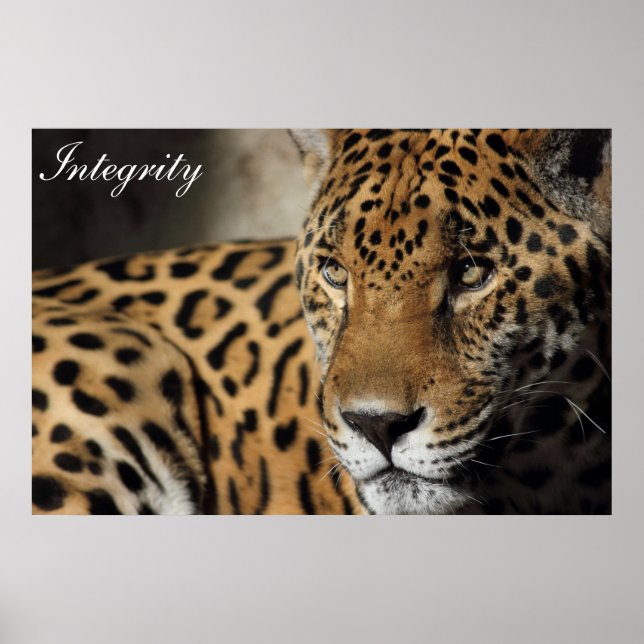 Integrity Poster (Front)