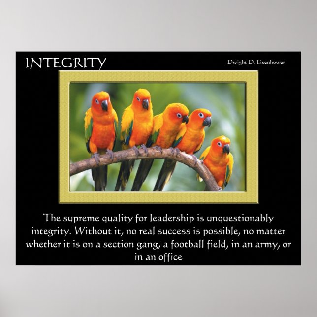 INTEGRITY Posters (Front)