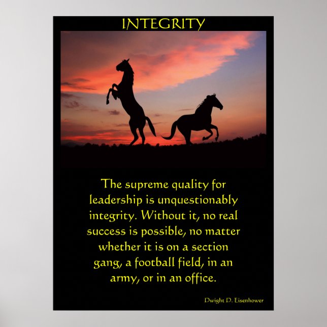 INTEGRITY Posters land 7 (Front)