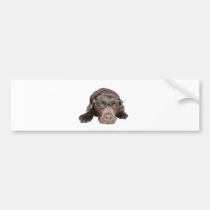 Intelligent Labrador Bumper Sticker