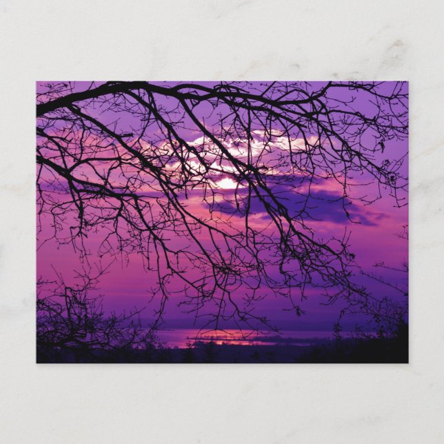 Intense and Vivid -  Purple Sunset Landscape Postcard (Front)