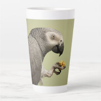 Intense Congo African Grey Parrot Snacking