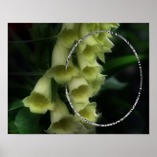 Intense Foxglove Flowers Frame Add Your Photo Poster (Front)