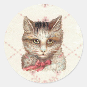 Intense Kitty pretty pink Round Sticker Victorian