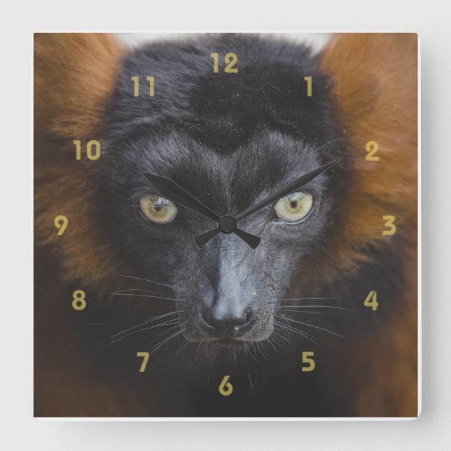 Intense Lemur Square Wall Clock (Front)