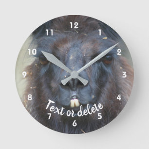 Intense Llama Face Close Up Personalised  Round Clock