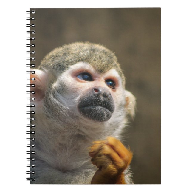Intense Monkey Spiral Notebook (Front)