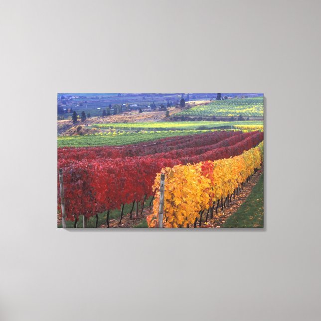 Intense red and yellow fall colours on Gehring Canvas Print (Front)