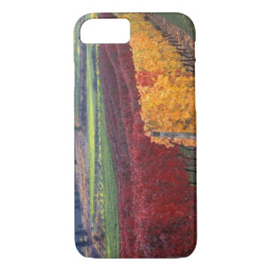 Intense red and yellow fall colours on Gehring iPhone 8/7 Case