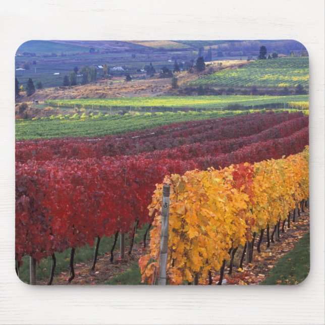 Intense red and yellow fall colours on Gehring Mouse Pad (Front)