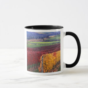 Intense red and yellow fall colours on Gehring Mug