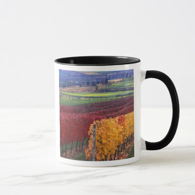 Intense red and yellow fall colours on Gehring Mug (Right)