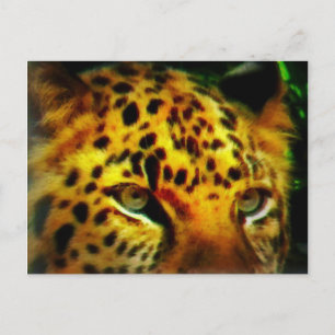 Intense Wild Cat Gaze Jungle Wildlife Art Card