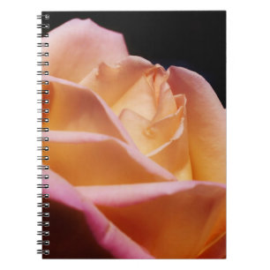 Intense Yellow Rose Flower Nature Spiral Notebook