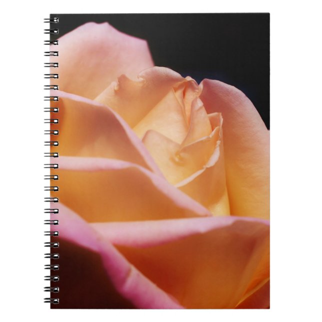 Intense Yellow Rose Flower Nature Spiral Notebook (Front)