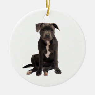 Intensely adorable blue staffy ceramic tree decoration