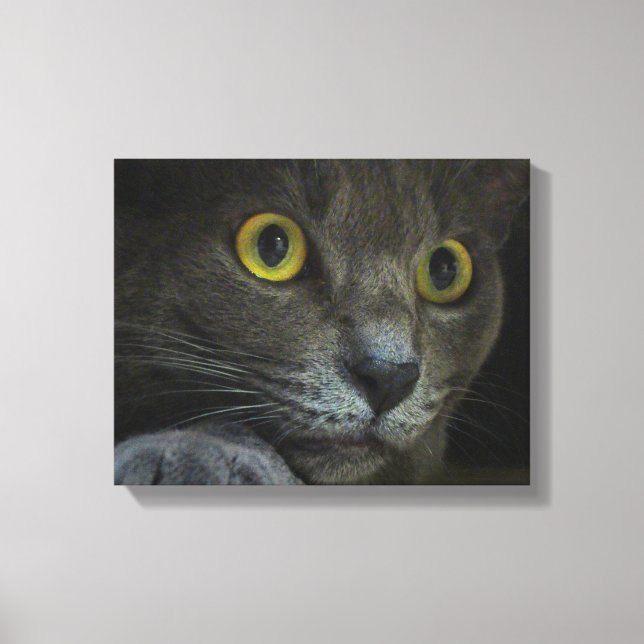 Intensity Canvas Print (Front)