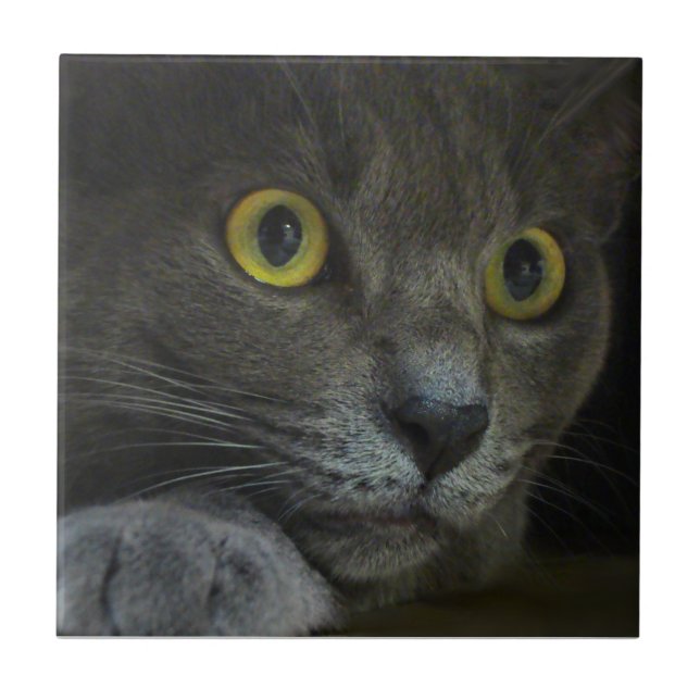 Intensity Decorative Tile (Front)