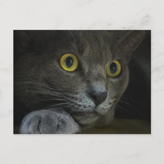 Intensity Postcard (Front)