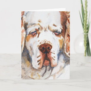 Intent-Clumber Spaniel greeting card