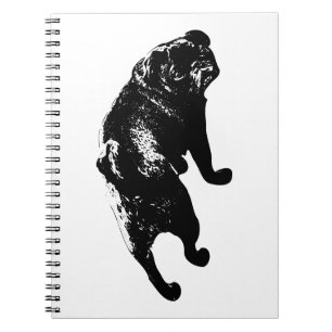 Intent Idea, Encouraging Arc Notebook