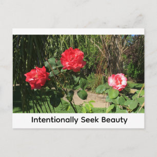 Intentionally Seek Beauty Postcard