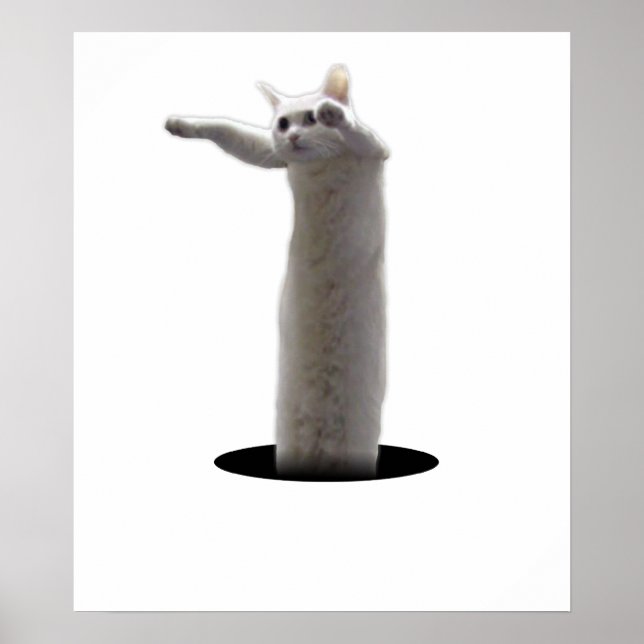 interdimensional LongCat Poster (Front)