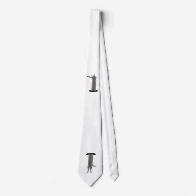 interdimensional LongCat Tie (Front)