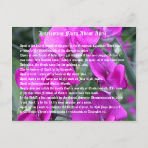 Interesting facts about April Postcard