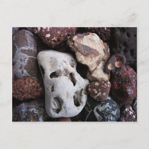 Interesting Rocks from Lake Michigan Shore Postcard