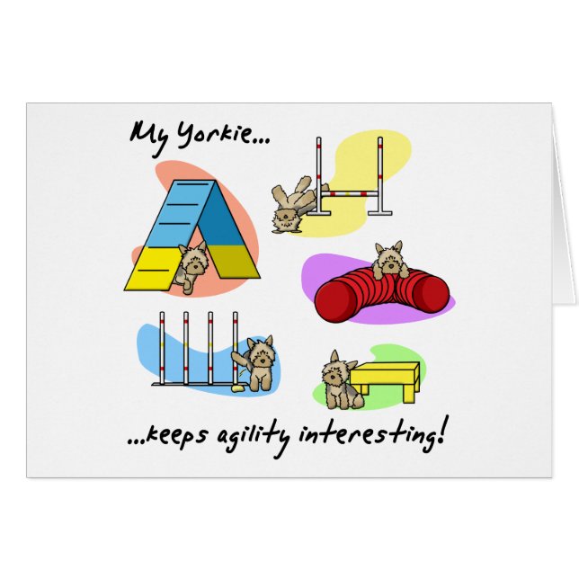 Interesting Yorkie Agility (Front Horizontal)